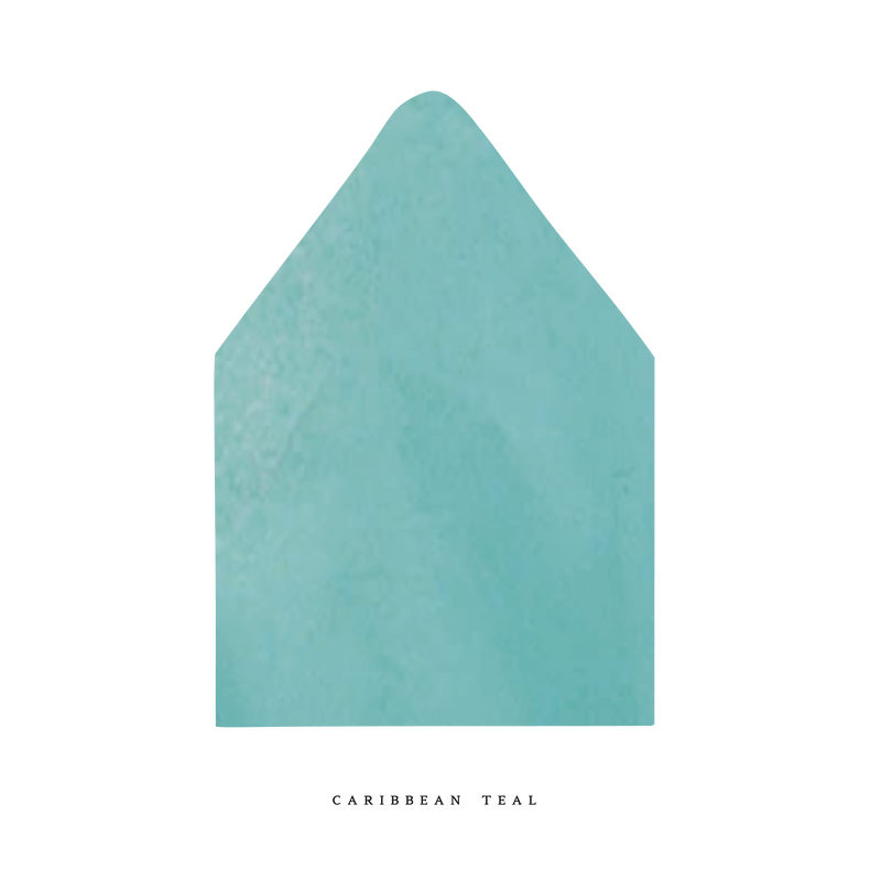 The Luxe Tissue Envelope Liner