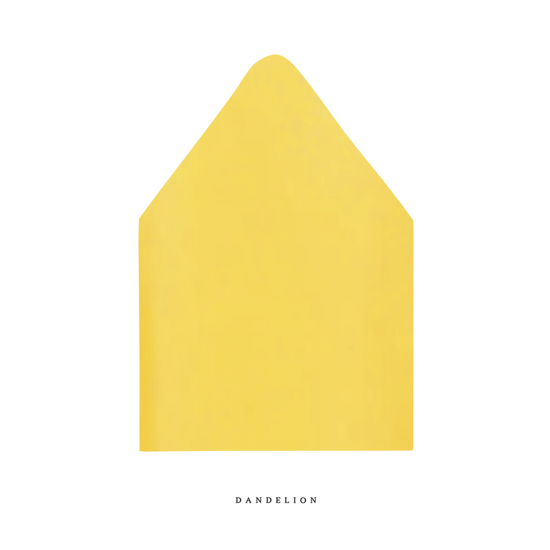The Luxe Tissue Envelope Liner