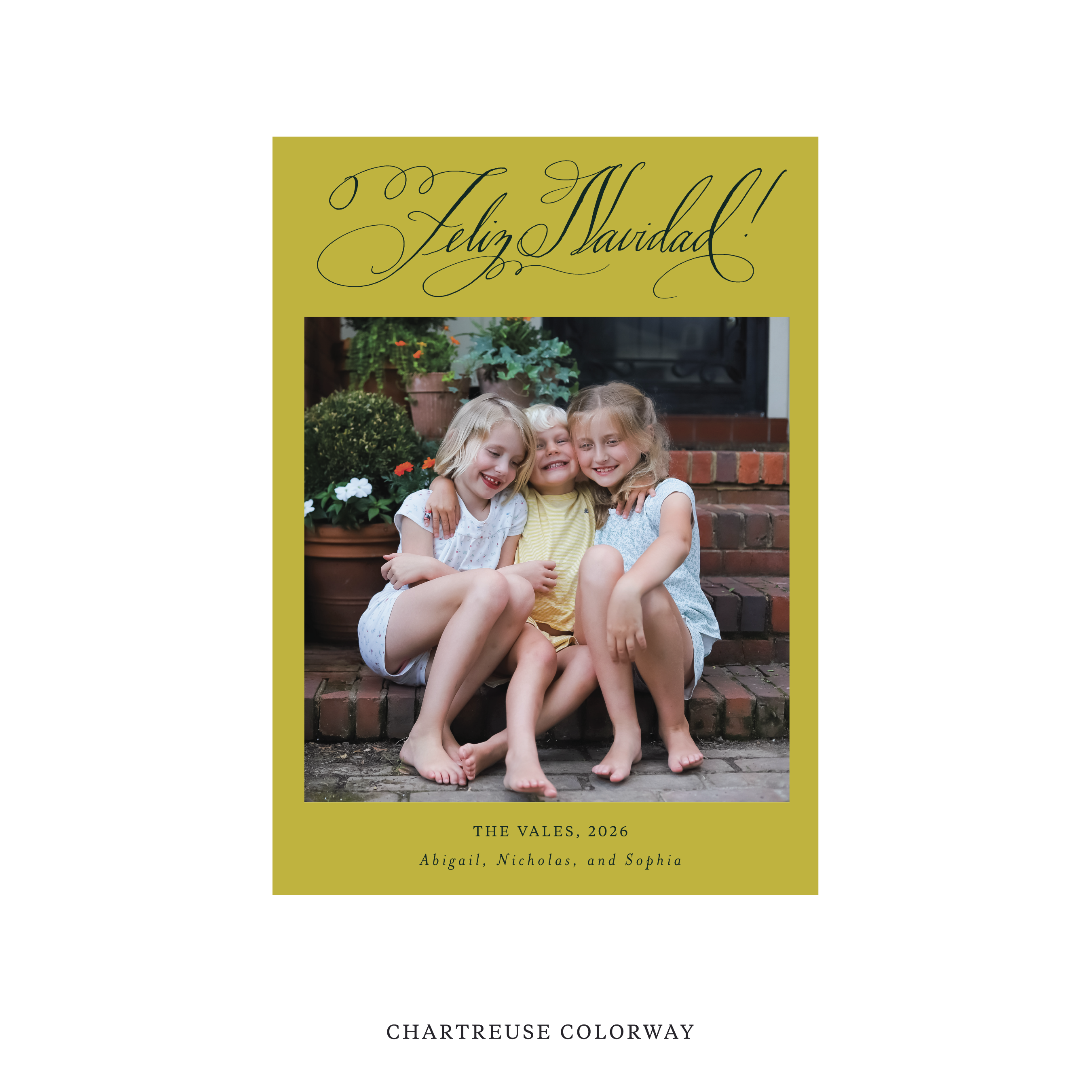 Vale Classic Flat Print Holiday Card, Medium