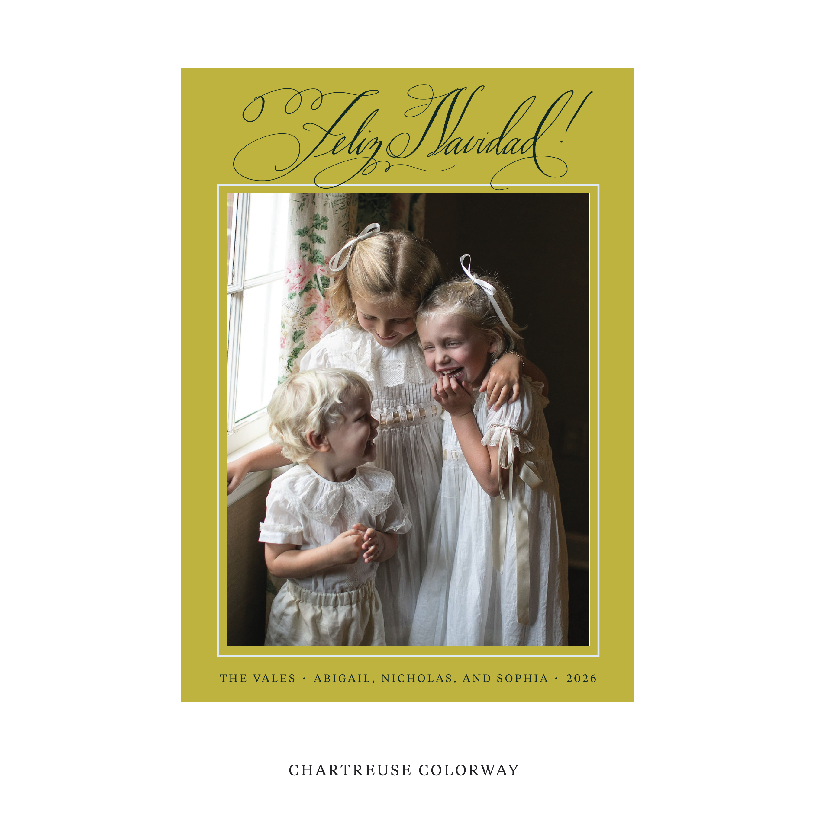 Vale Classic Flat Print Holiday Card, Large