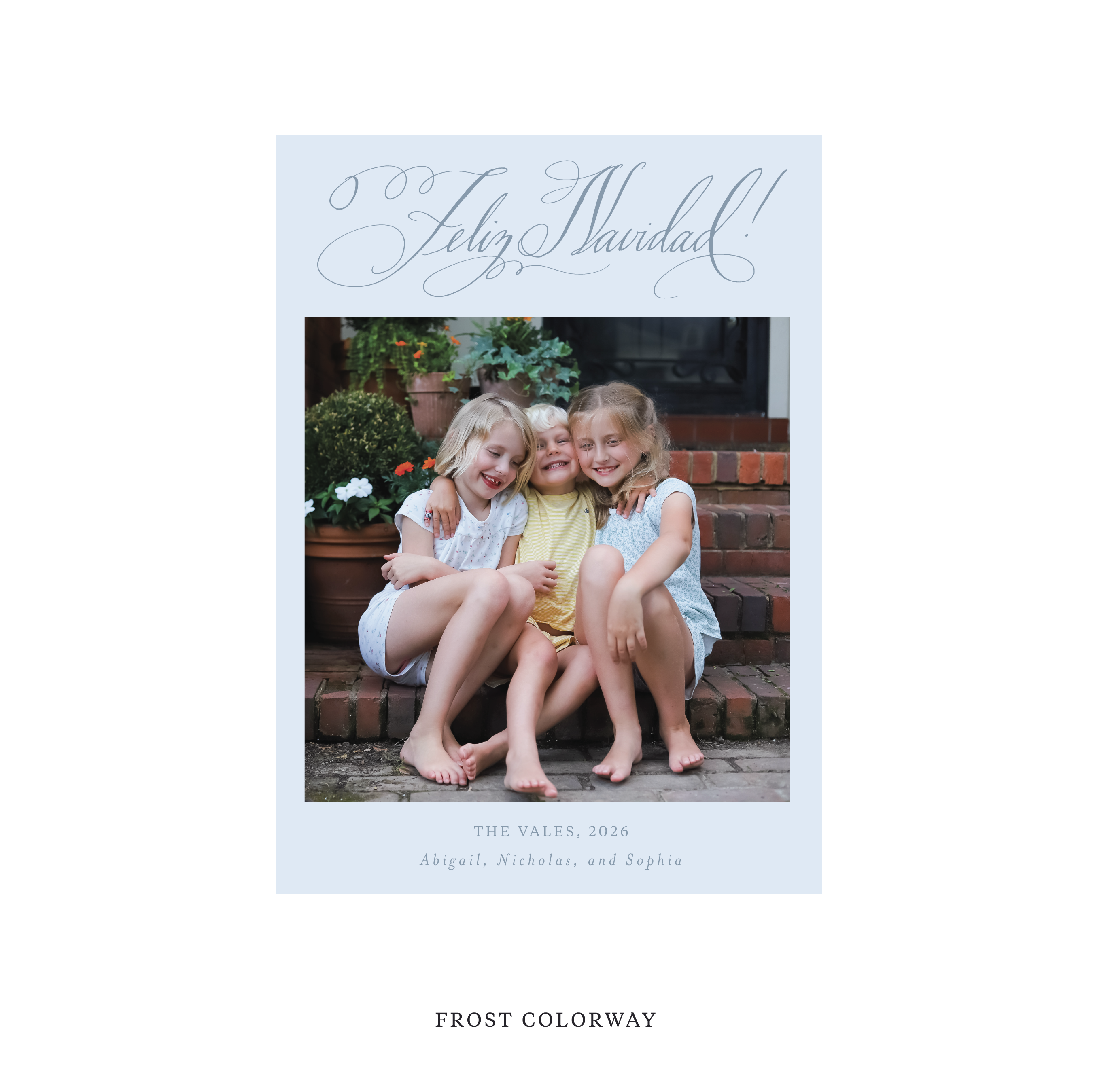 Vale Classic Flat Print Holiday Card, Medium