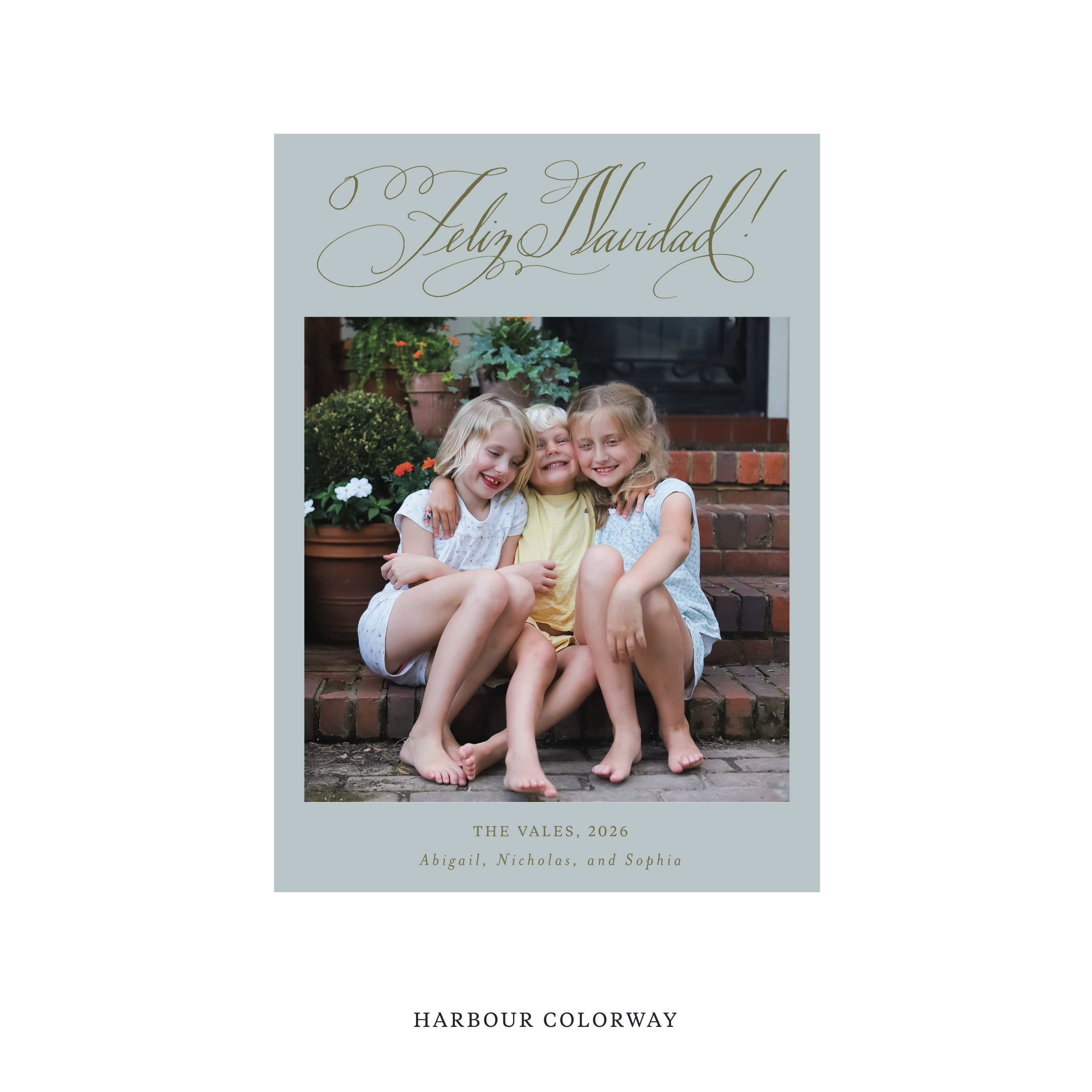 Vale Classic Flat Print Holiday Card, Medium