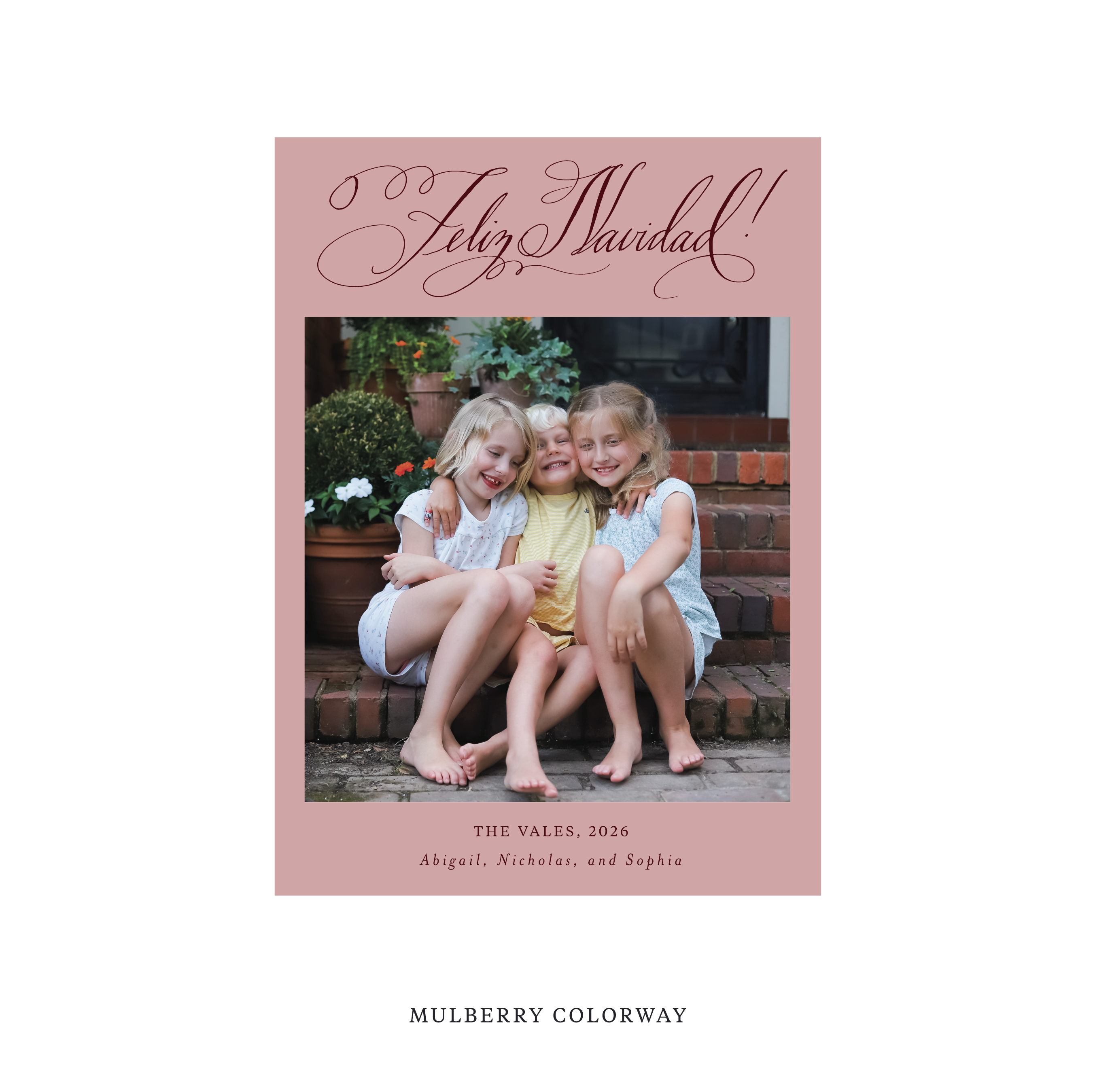 Vale Classic Flat Print Holiday Card, Medium