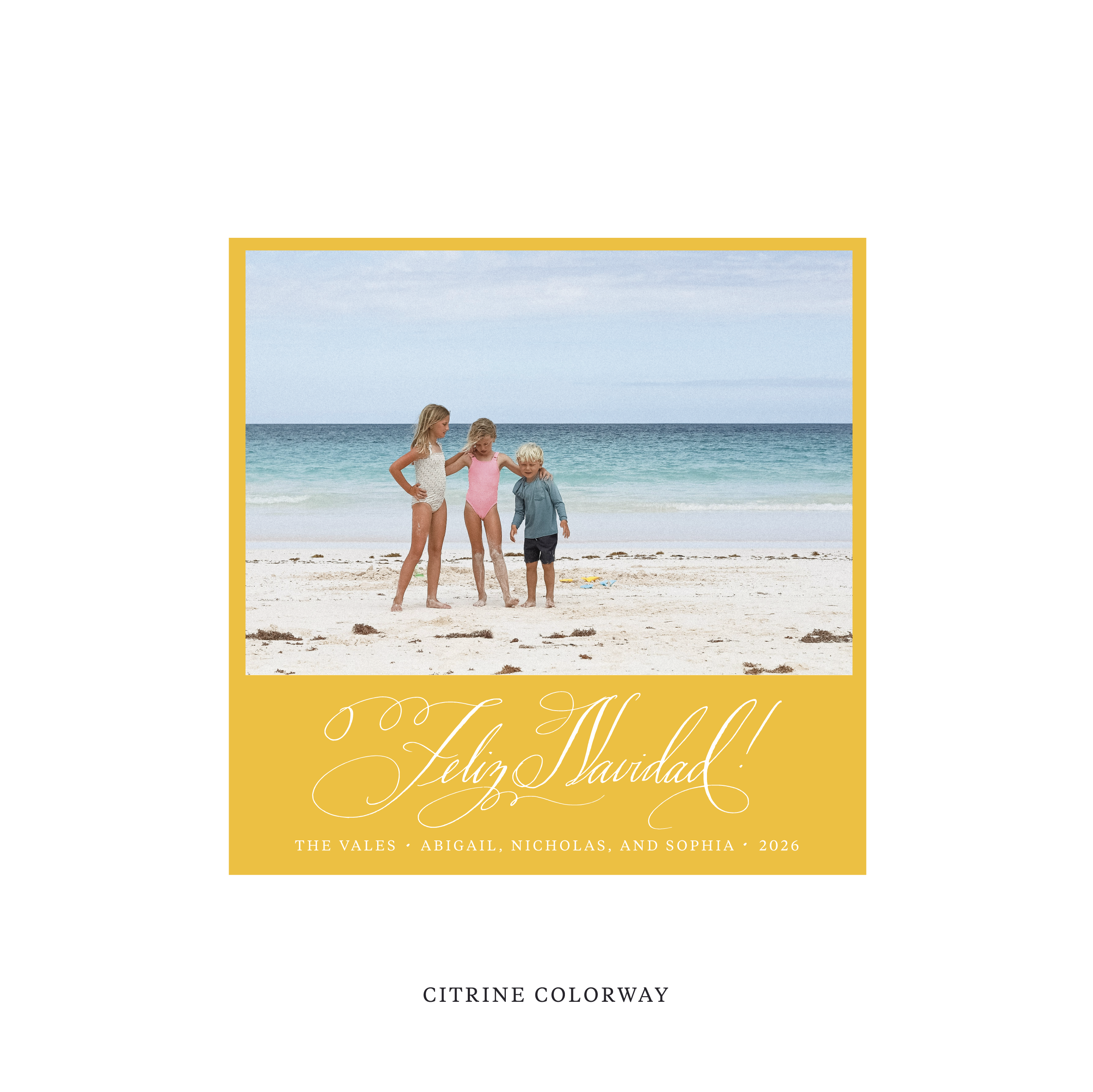 Vale Classic Flat Print Holiday Card, Square