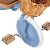 Blue Tricycle