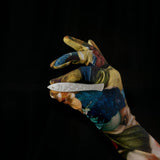 Sardine Fish Hair Clip