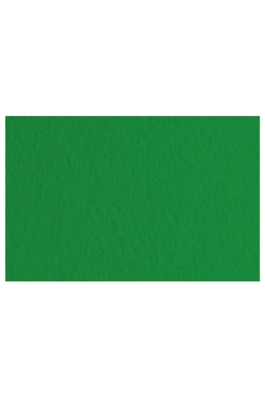 Fabriano Tiziano Drawing Paper Pack, 20 in x 26 in, 98 lb: Moss Green