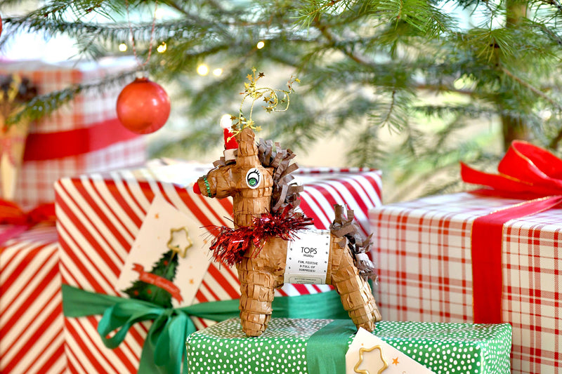 Reindeer Tabletop Piñata