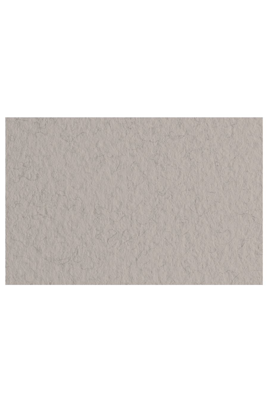Fabriano Tiziano Drawing Paper Pack, 20 in x 26 in, 98 lb: Sage