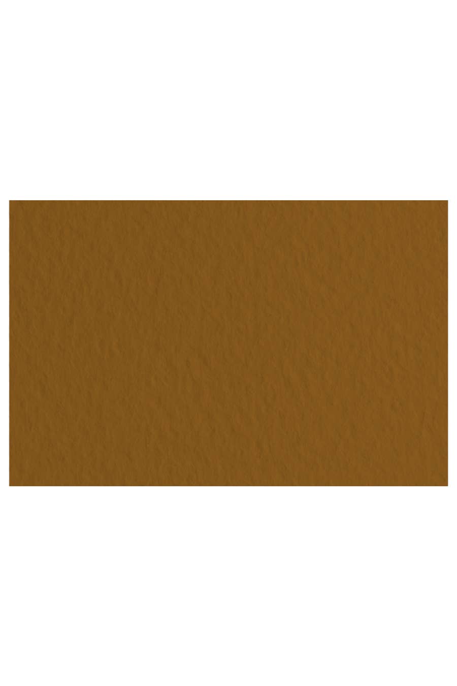 Fabriano Tiziano Drawing Paper Pack, 20 in x 26 in, 98 lb: Sage