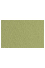 Fabriano Tiziano Drawing Paper Pack, 20 in x 26 in, 98 lb: Moss Green