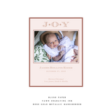 Celeste Small Pastel Luxe Birth Announcement