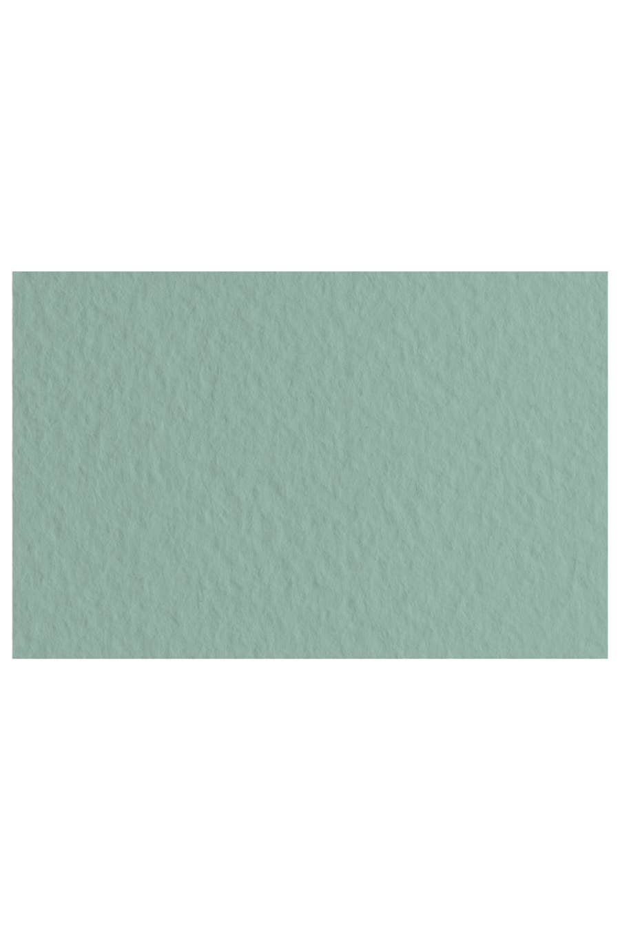 Fabriano Tiziano Drawing Paper Pack, 20 in x 26 in, 98 lb: Sage