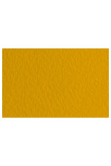 Fabriano Tiziano Drawing Paper Pack, 20 in x 26 in, 98 lb: Raw Sienna