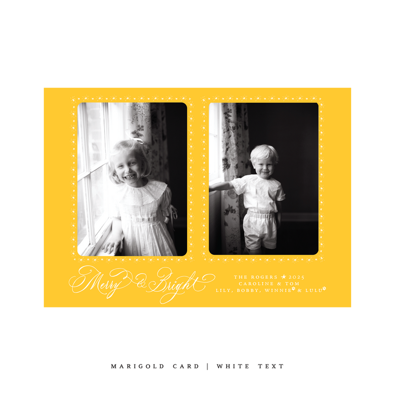 Ellington (2 Photos) Classic Printed Medium Holiday Card
