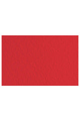 Fabriano Tiziano Drawing Paper Pack, 20 in x 26 in, 98 lb: Moss Green