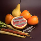 Sardine Fish Hair Clip