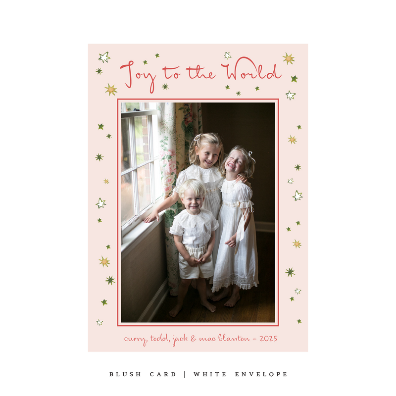 Illaria Medium Classic Printed Holiday Card