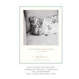 Laurel Medium Luxe Birth Announcement Holiday Card