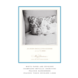 Laurel Medium Luxe Birth Announcement Holiday Card