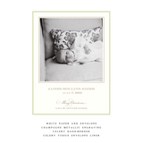 Laurel Medium Luxe Birth Announcement Holiday Card