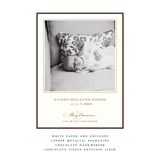 Laurel Medium Luxe Birth Announcement Holiday Card