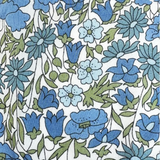 Blue Poppy & Daisy Liberty Cases