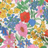 Clarabelle Multi Bright Liberty Cases