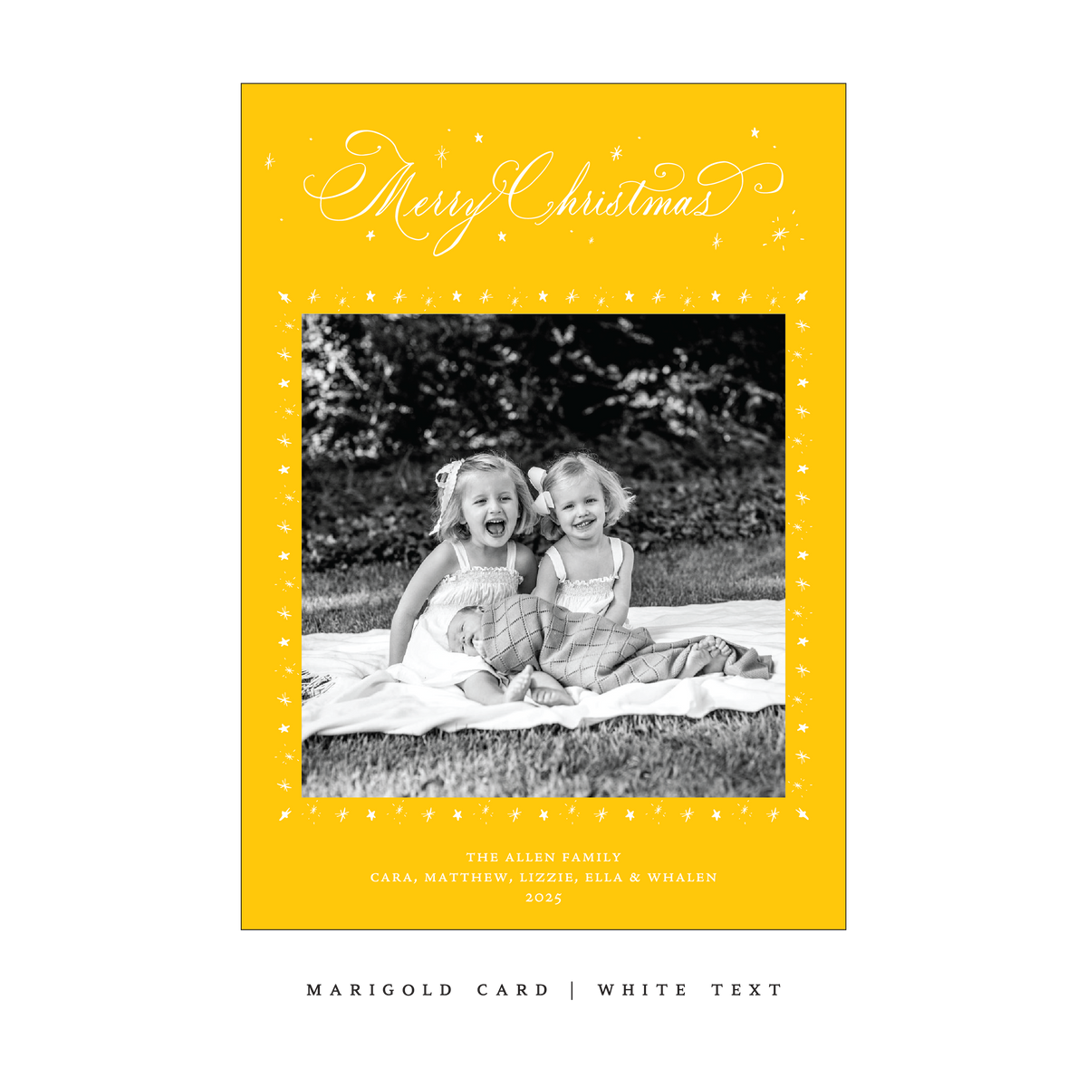 Middleton Classic Flat Print Holiday Card, Large (Archive)