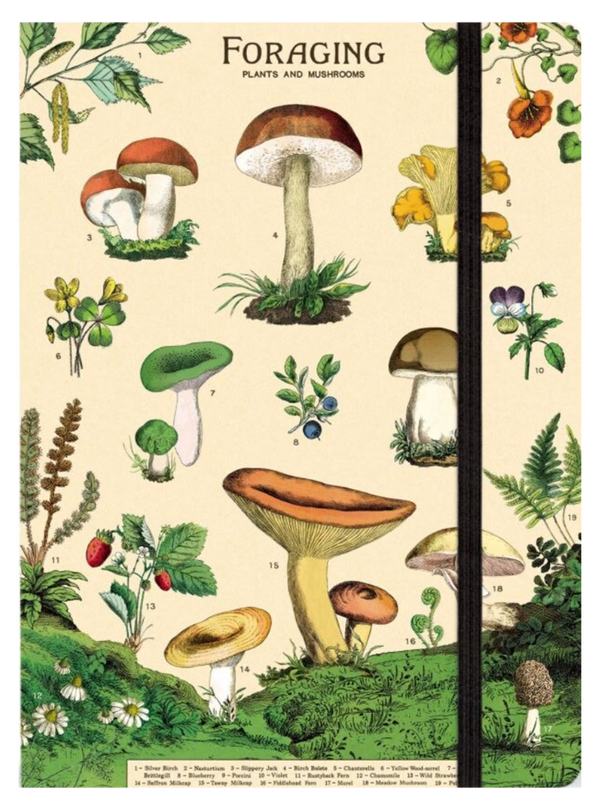 Plants and Mushrooms Notebook