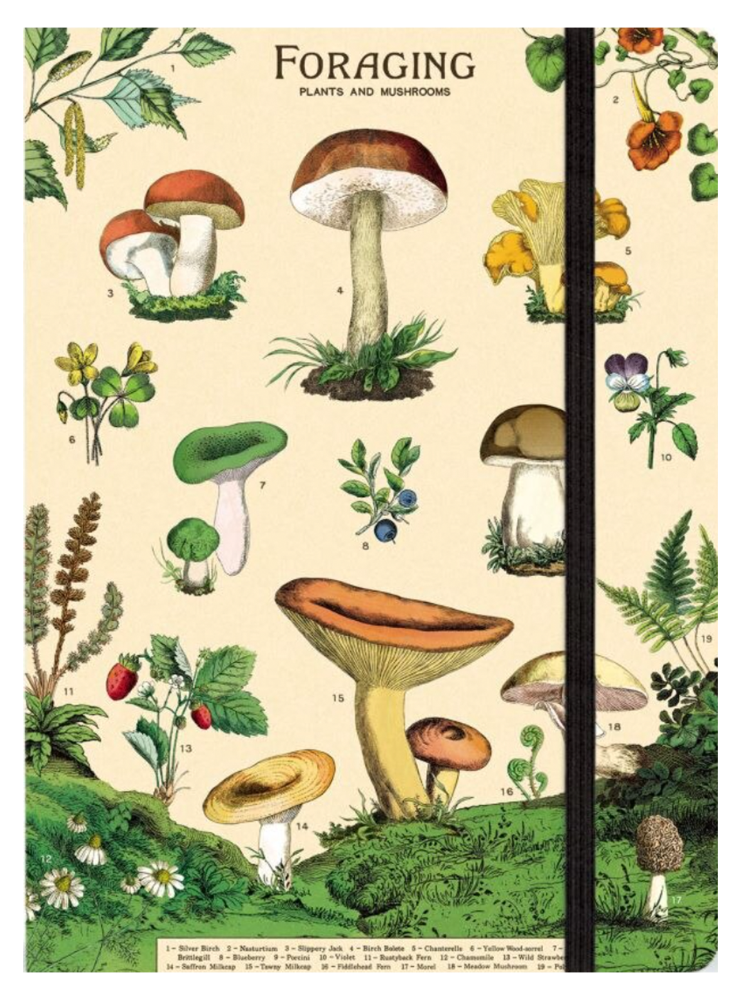 Plants and Mushrooms Notebook