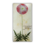 John Derian “Pink Poppy” 6" x 12" Rectangular Pencil Tray