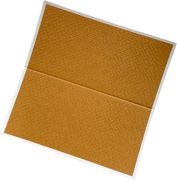 Sienna with white tented placecards