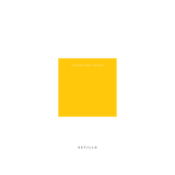 Stovall Signature Colored Sticky Notes