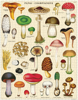 Vintage Mushroom Puzzle