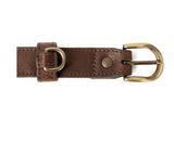 Personalized Leather Dog Collar